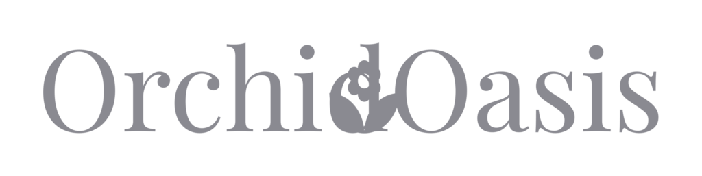 logopaywise04.png